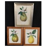 Group of 3 Decoratively Framed "Pear" Prints