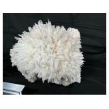 Large aragonite 9" x 5" x 6"