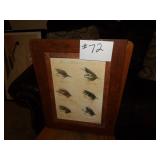 English Salmon Flies framed print