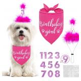 BINGPET Dog Birthday Bandana Girl Scarf AZ26