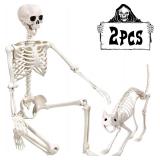 AS IS 5.4Ft Halloween Human Skeleton & CAT B44