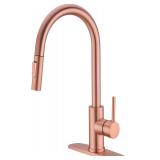 $181 Kitchen Faucet