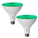 NEW $35 2PK Green LED Flood Lights