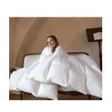 $120 SWITTE Luxury Goose Feather Down Comforter