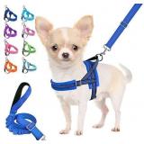 $50 (Small) Dog Bundle, 2pk