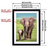 NEW $50 (18"X22") Painting Picture Frames