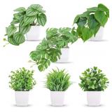 Small Artificial Plants 6Pack