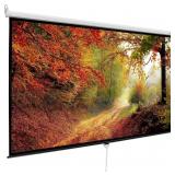 NEW $130 Manual Pull Down Projection Screen