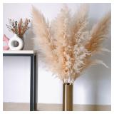 NEW $37 Natural Dried Tall Pampas Grass