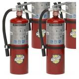 2-Pack Buckeye 10914 ABC Multipurpose Dry Chemical