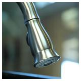 Danco Smart Spray Stainless Steel Faucet Head