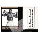 Bo Jackson Bo Knows promo card