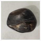 3 75oz Tumbled & Polished Petrified Wood 2.25"