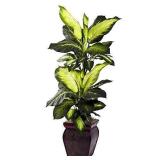 Nearly Natural Dieffenbachia, 45in, Green