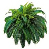 88 Leaves Fake Ferns, 48 inch, 1 pack