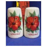 Souvenir Hawaii Salt and Pepper shakers