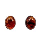 Gdansk Poland Signed Amber Sterling Earrings