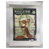 French Paper Muscletone Art Print - Anderson