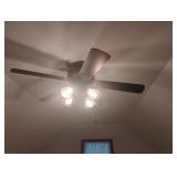 Ceiling fan black