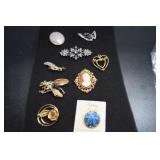 Nice Assortment Of Brooches