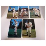 1955 CLEVELAND BROWNS GIANT POSTCARDS NEAR SET