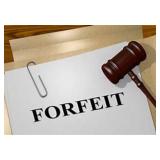 Forfeiture of PAID Auction Items PLEASE READ