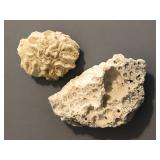 2 Pieces of Natural Coral for Display or Aquarium