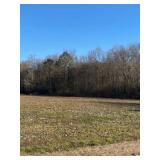 10.72 Acres Bunnlevel Erwin Rd