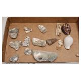 LOT OF MOTHER OF PEARL & OTHER SEA SHELLS