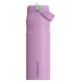 Stanley IceFlow Flip Straw 2.0 Water Bottle 24 OZ