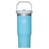 Stanley IceFlow Stainless Steel Tumbler with Straw