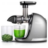 Masticating Juicer Machines, AMZCHEF Slow Cold Pre