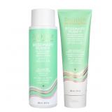 Pacifica Shampoo & Conditioner Set " Rosemary Pu