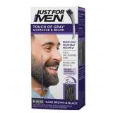 Just For Men Touch of Gray Mustache & Beard, Beard