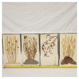 4 Vintage Pressed Plant Mixed Medua Artwork