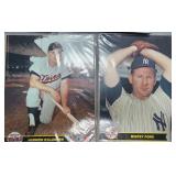 5 Killebrew/Ford/Clemente 8x10 Action Photos