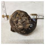 1 lb 10 oz Ammonite Fossil with Stone 7-129