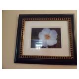 NICELY FRAMED PHOTO OF A FLOWER