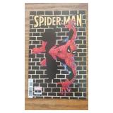 SPIDER-MAN #1 FRANK MILLER 1:50 VARIANT