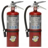 2-Pack Buckeye 10914 ABC Multipurpose Dry Chemical