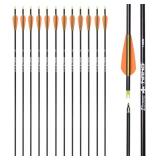 Carbon Arrow Hunting Arrows with 100 Grain Removab