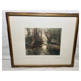 Signed Picture ï¿½Woodland Symphonyï¿½ by Fred