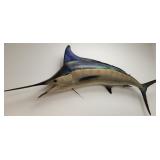 Blue Marlin Taxidermy