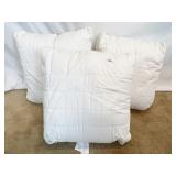 SET OF 3 PILLOWS JUST NEED COVERS