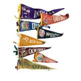 VINTAGE SOUVENIR PENNANTS