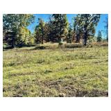 TRACT 6 - 26.95+/- ACRES