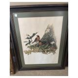 ROBIN PRINT SIGNED BY RICHARD SLOAN