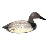 Canvasback drake by Decoys Unlimited