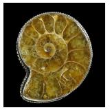 Sterling silver large ammonite ring, size 9