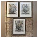 3 Botanical Prints, Overall 23” x 18”